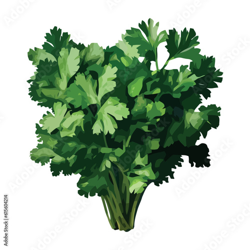 Fresh parsley vegetable bundle for healthy eating