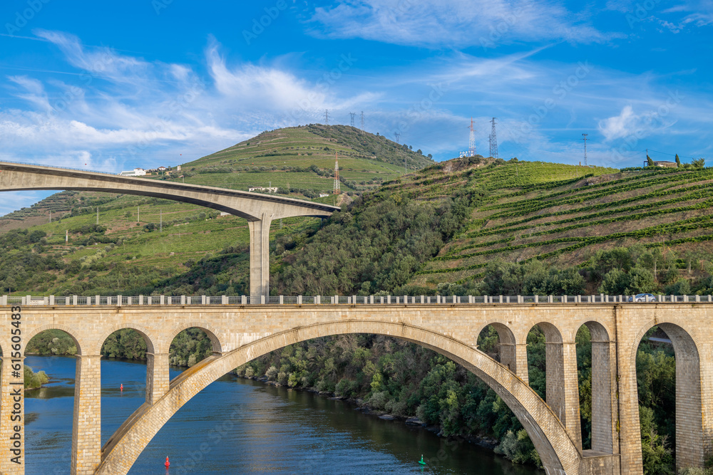 Fototapeta premium Vista da vila da Régua no Douro Portugal