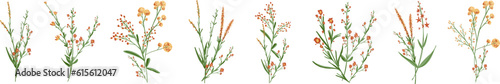 Flowers. Botanical blossom floral elements. Big set small hand drawing branches, leaves, herbs, wildflowers. Garden, meadow, field collection. Bloom bouquets vector illustration isolated on white 