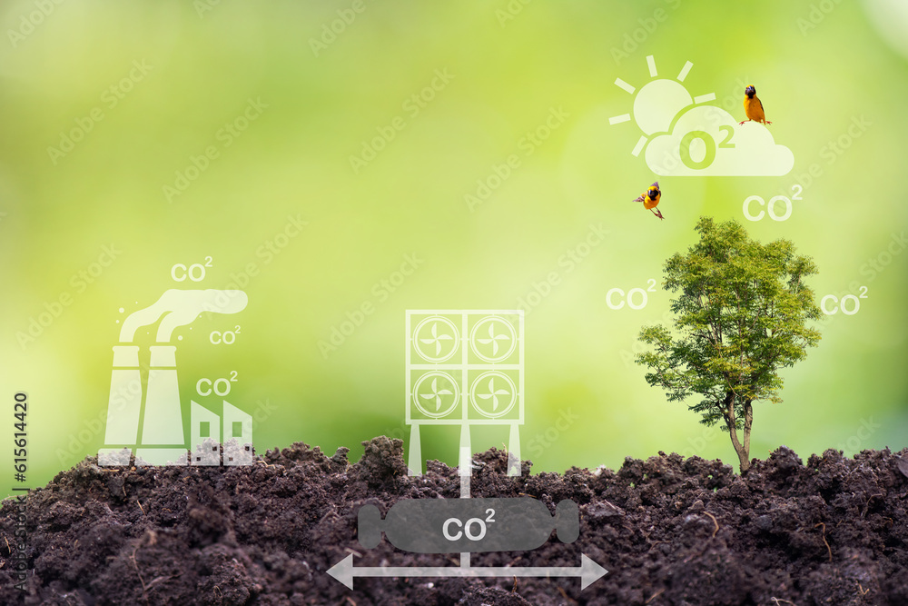 Capture carbon dioxide with capture devices and natural methods. Plants