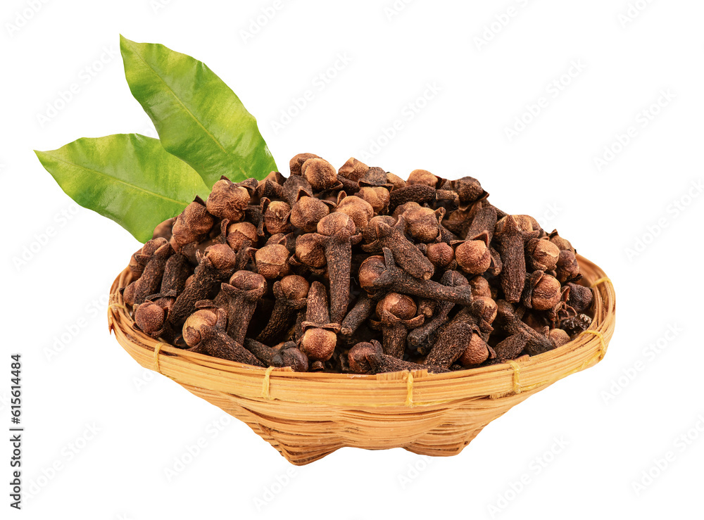 Clove or Syzygium aromaticum and green leaves on transparent background. Clove or Syzygium aromaticum and green leaves on transparent background.