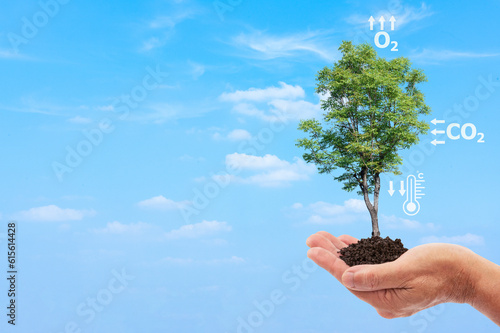 Tree on man hand absorb carbon dioxide and release it into oxygen and this causes the temperature to drop and icons. Reduce global warming by planting trees concept.