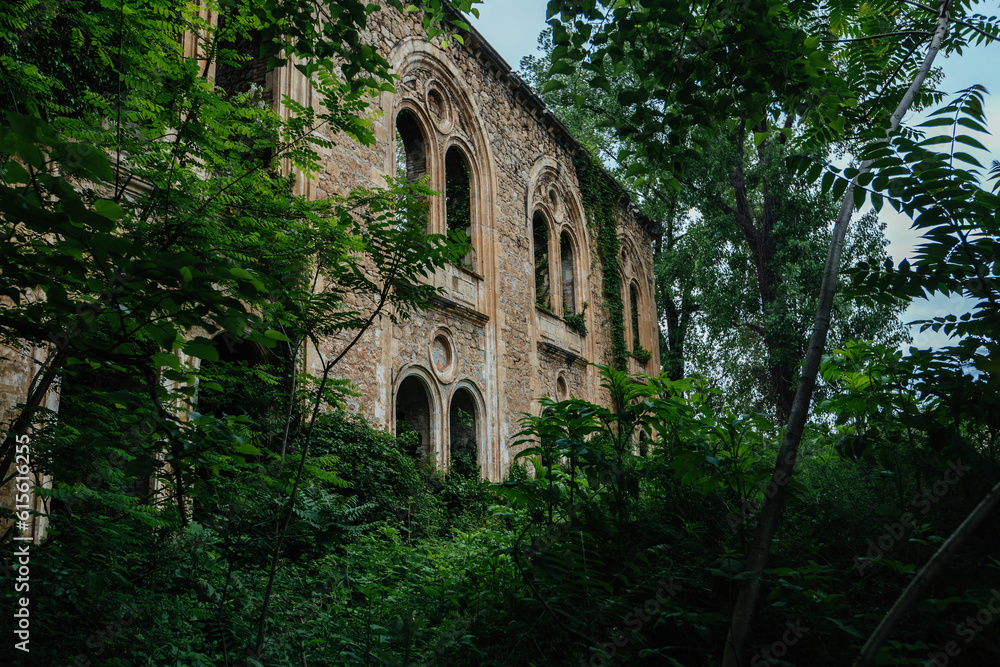 Old ruins of historical building overgrown by vegetation