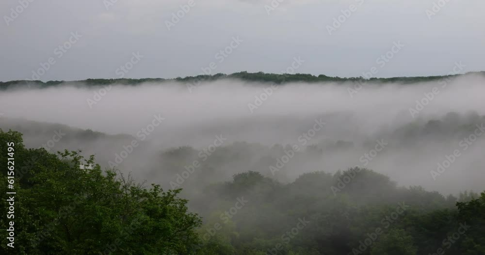 Top view of misty hollow in twilight. Top view of misty hollow in twilight.