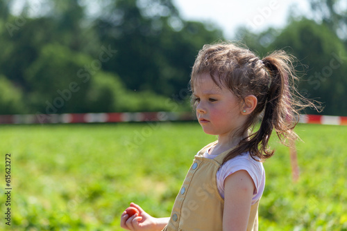 Adorable little girl picking strawberries in the field on a sunny summer day