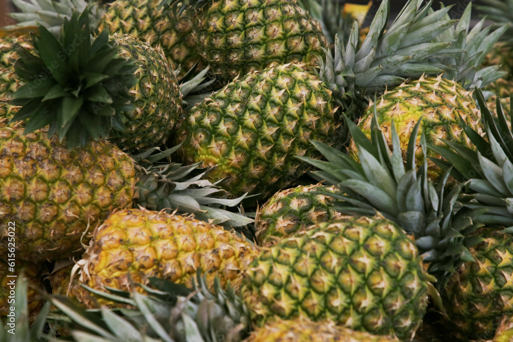 Heap of delicious ripe pineapples as background. Exotic fruit