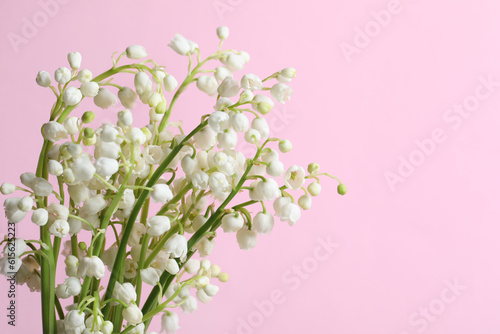 Beautiful lily of the valley flowers on pink background, closeup. Space for text © New Africa