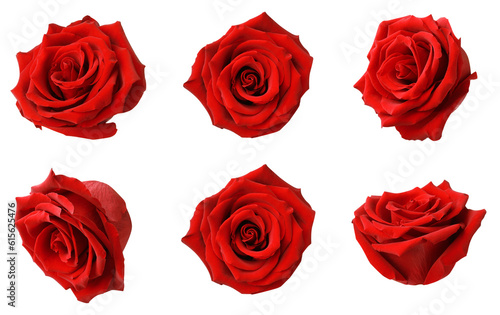 Set with red rose buds isolated on white
