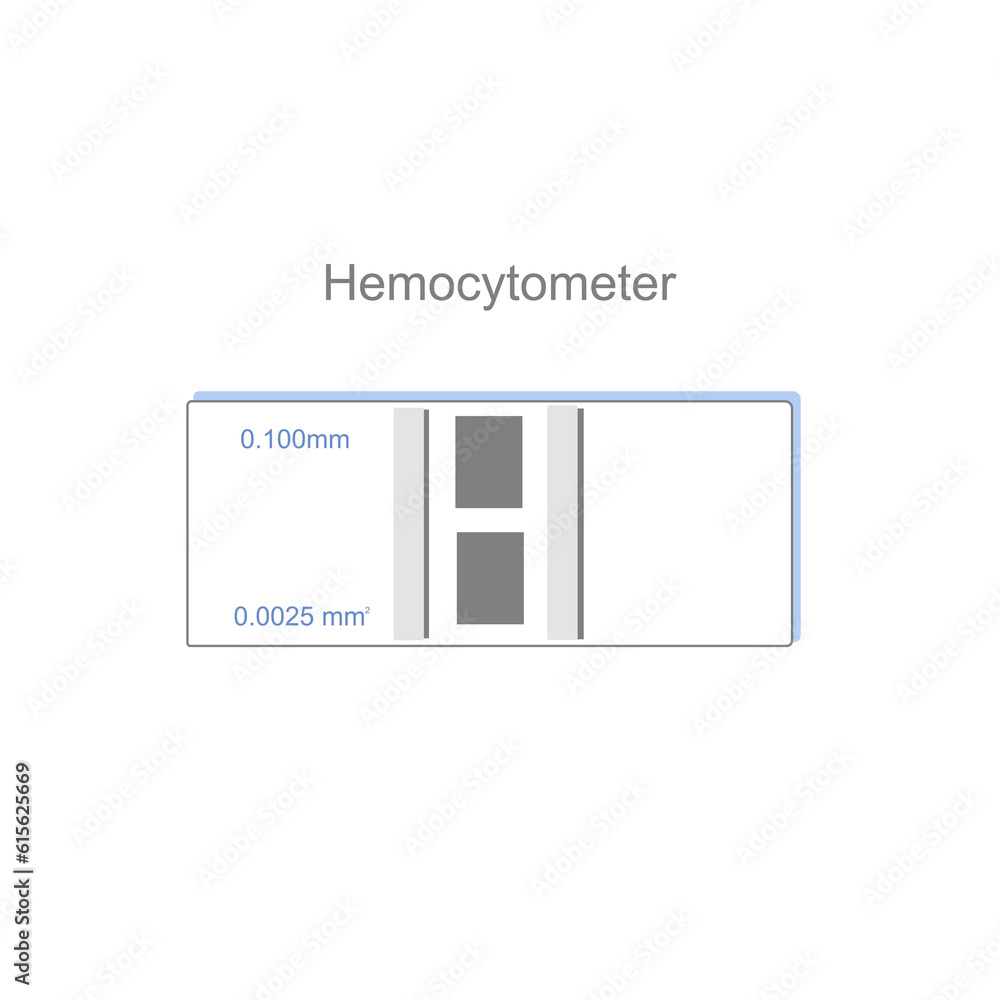 The hemocytometer for cell counting under microscope to science