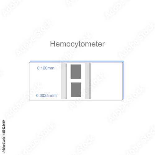 The hemocytometer for cell counting under microscope to science research. photo