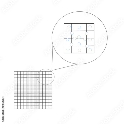 The grid line on hemocytometer for calculation of cell counting. 
