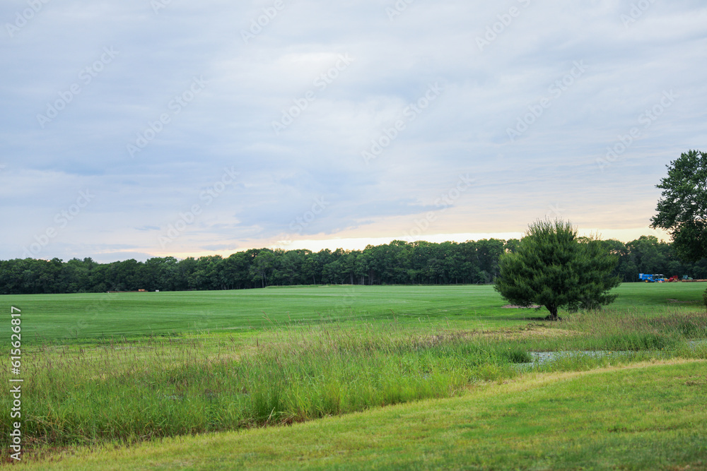  serene grass prairie with majestic trees against a vibrant sunset backdrop, showcasing the harmony and tranquility of nature's beauty