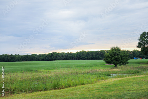  serene grass prairie with majestic trees against a vibrant sunset backdrop, showcasing the harmony and tranquility of nature's beauty