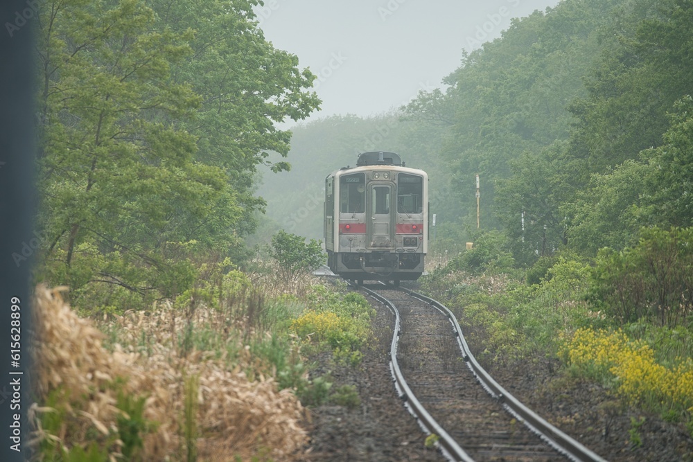Fototapeta premium Hokkaido, Japan - June 7, 2023: Unmanned Anebetsu station of JR Hokkaido Hanasaki Line in Japan 