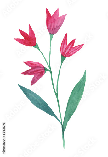 Simple doodle floral element. Watercolor illustration.