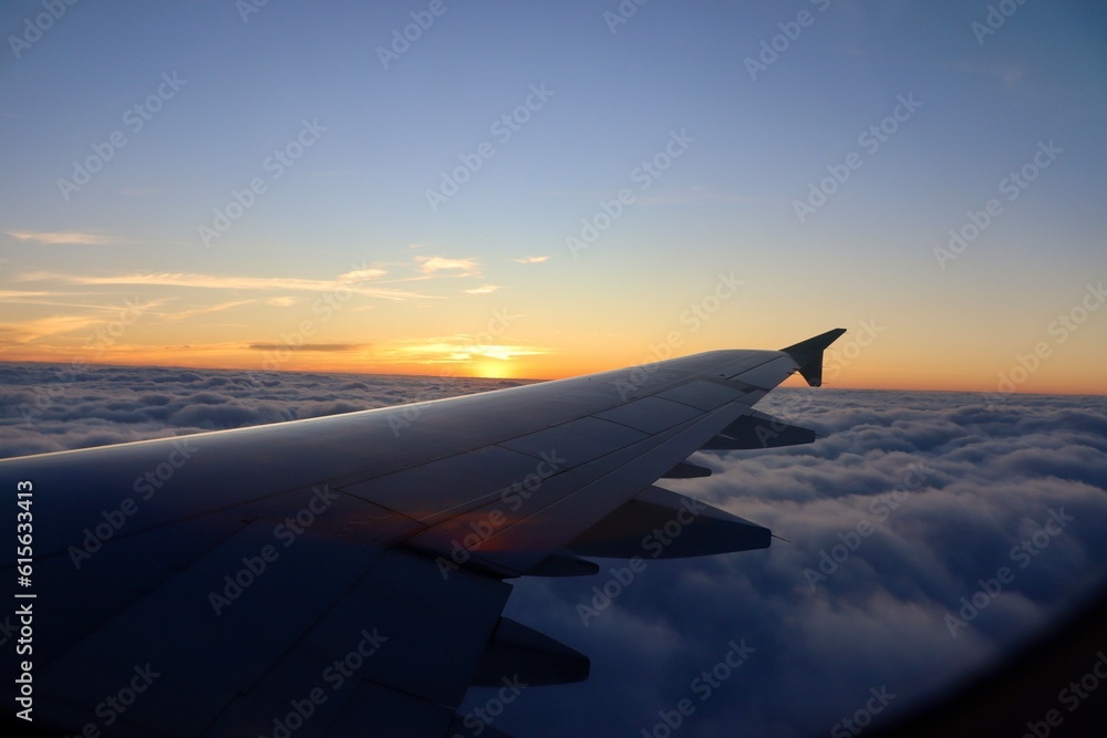 Fototapeta premium 空