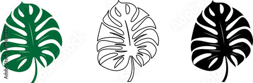 Monstera tropical leaf. Exotic palm leaves.Botanical plant . Jungle plant.Simple black monstera leaf icons.Design element.