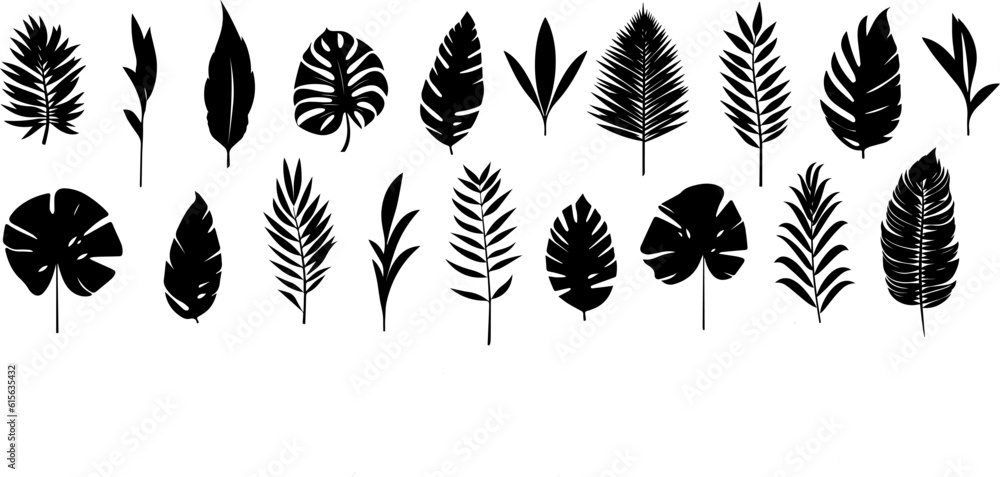 Set of tropical leaves.Collection of exotic palm leaves.Monstera leaf and banana leaves.Botanical plant collection.Leaf icon set.Jungle plant. Set of tropical leaves.Collection of exotic palm leaves.Monstera leaf and banana leaves.Botanical plant collection.Leaf icon set.Jungle plant.