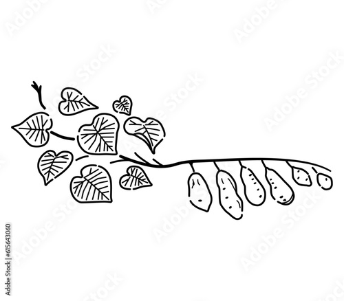 さつまいものつるのイラスト（線画）