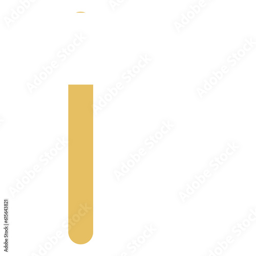 Scout flag 