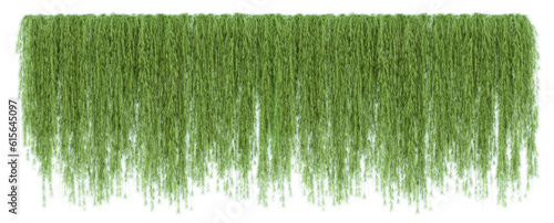 Ivy green with leaf or a trail of realistic ivy leaves. Png transparency