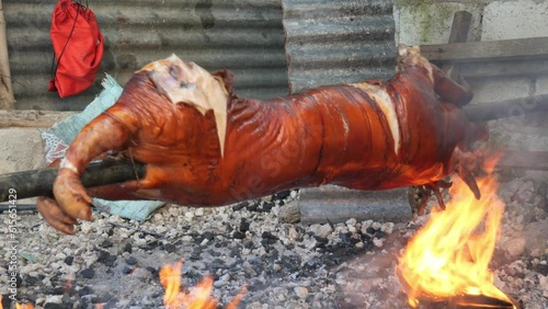 April 22, 2023 Danao City, Cebu, Philippines - A  Lechon Baboy or Suckling Pig with a Crispy Red Skin is beeing Roasted over Charcoal Fire photo