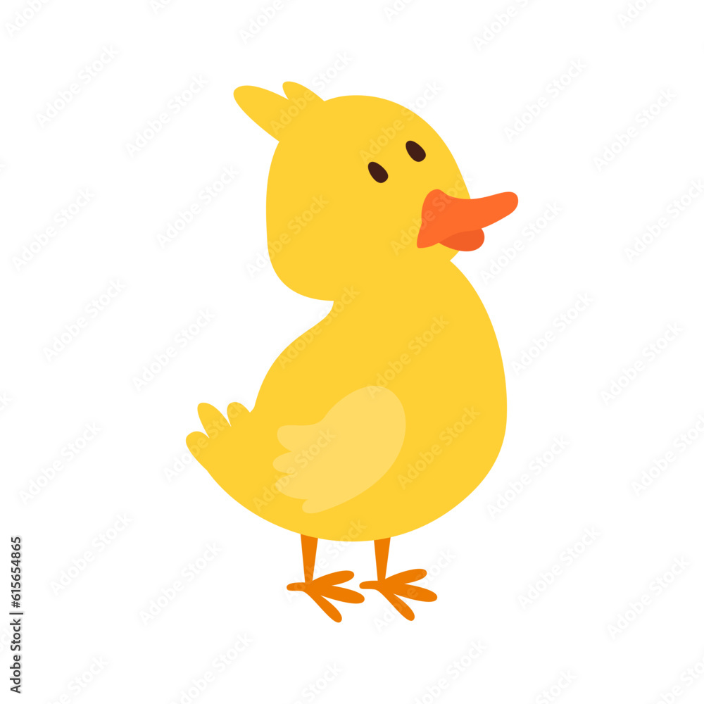 Cute Animal Cute Animal