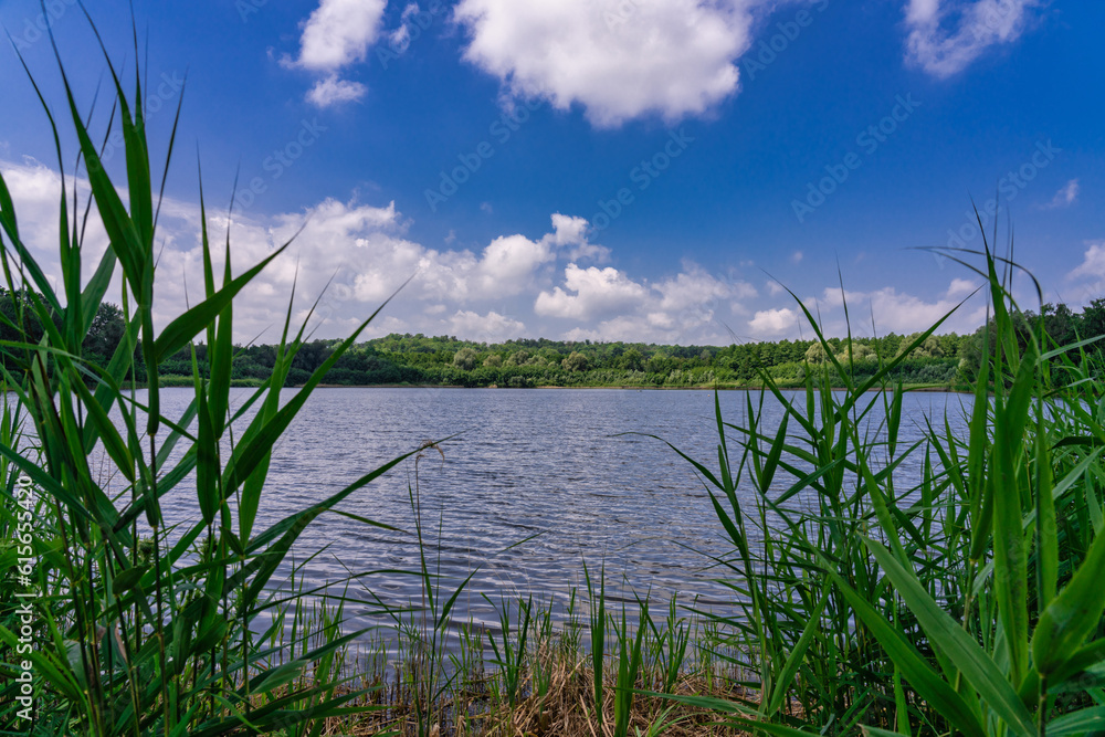 Obraz premium Morgensternteich