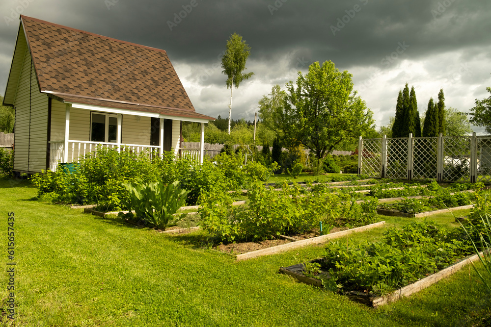 Fototapeta premium Beautiful and well-groomed garden bed on the garden plot.
