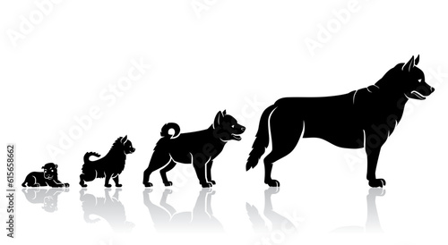 Dog Silhouette Growth Stages, Isolated Illustration