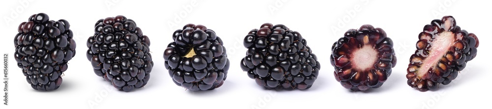 Blackberry fruit and half sliced isolated on white background. Blackberry fruit and half sliced isolated on white background.