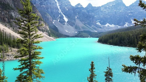 Drone revealing shot at Lake Moraine between tow long trees and flying bird, Banff national park, Alberta, Canada