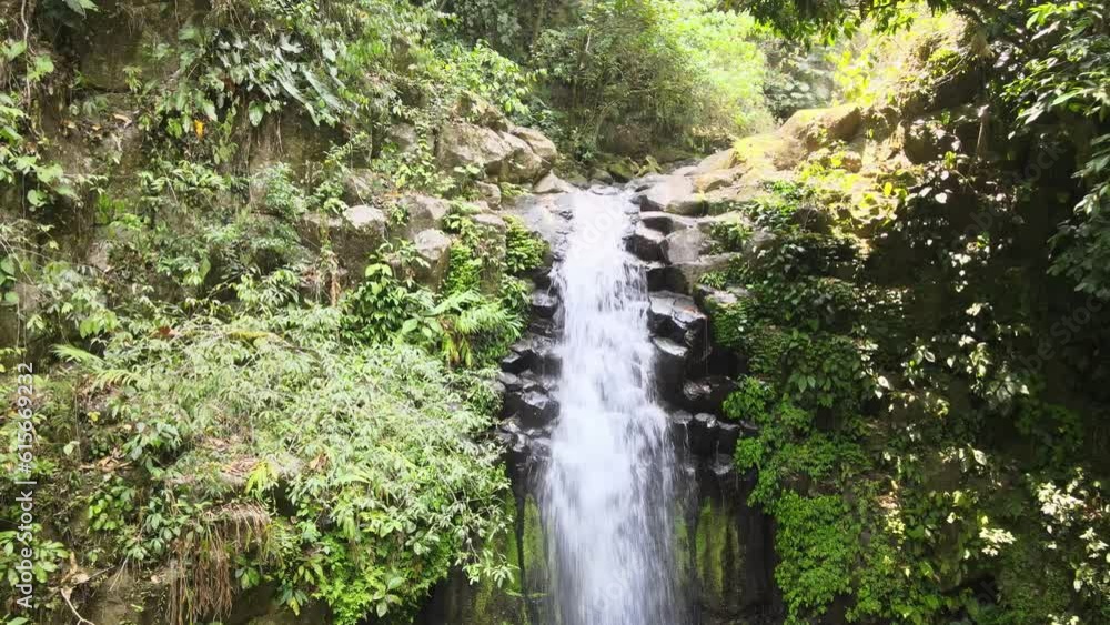 small waterfall in the benito juarez ecological reserve in los tuxtlas small waterfall in the benito juarez ecological reserve in los tuxtlas