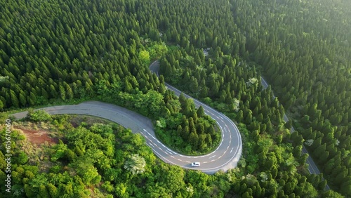 Mt Aso, Japan: Cinematic aerial drone footage of a car driving on the road leading to the Mt Aso volcano rim through an enchanting forest in Kyushu in Japan. Shot with a tilt down rotation motion.  photo
