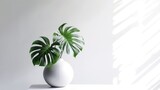 Monstera leaf in ceramic potted on white background for decorative artwork and home interior design for minimalist style. Generative Ai