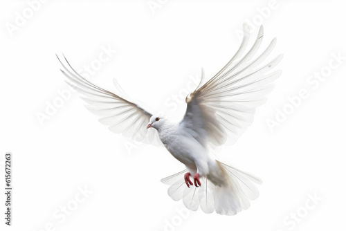 Pigeon isolate on white background   Created with Generative Ai Technology