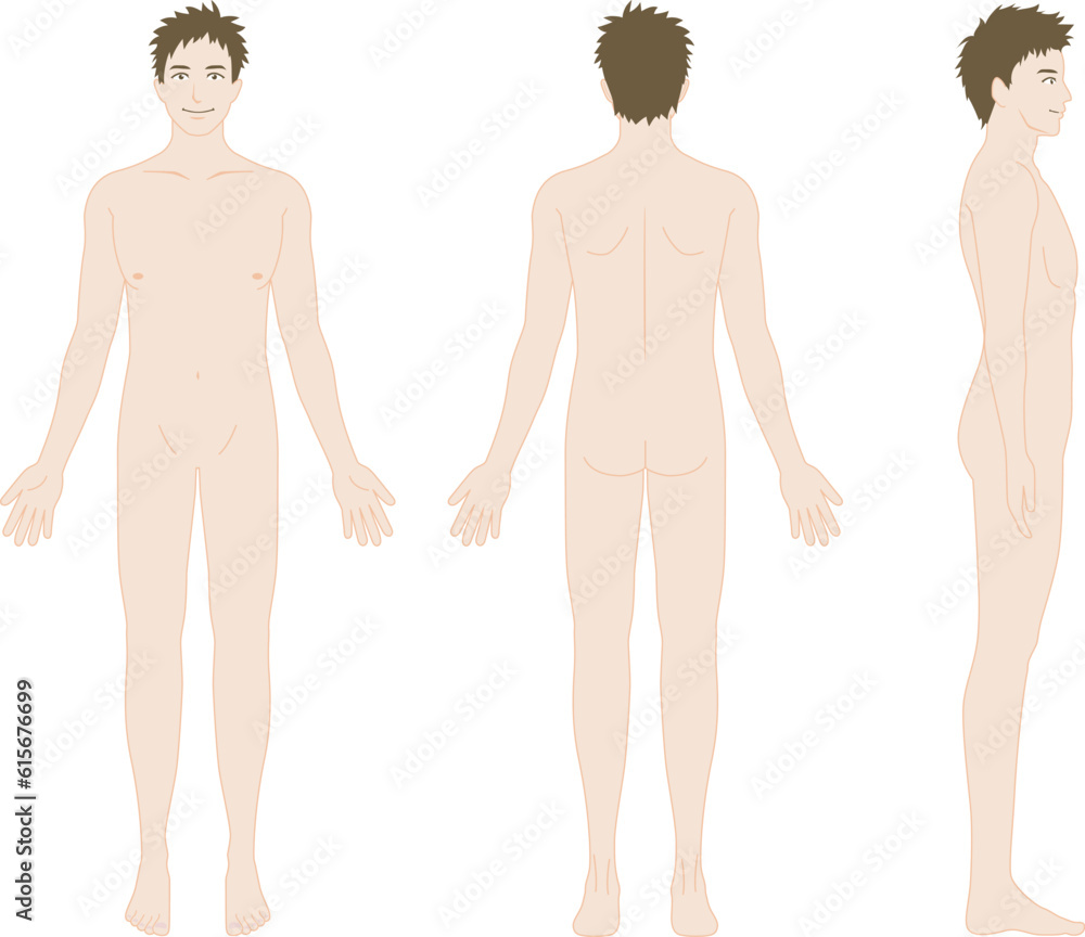 男性の全身像 セット 男性の全身像 セット