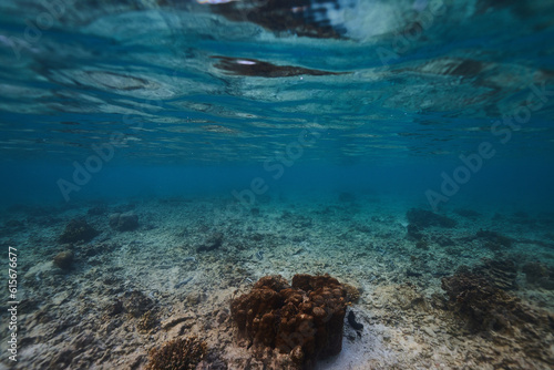 ocean water surface underwater view . blue background. abstract background nature sea underwater.