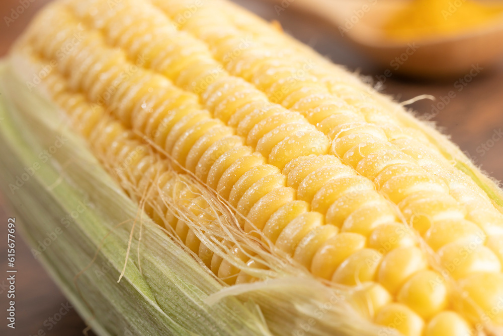 とうもろこし corn とうもろこし corn
