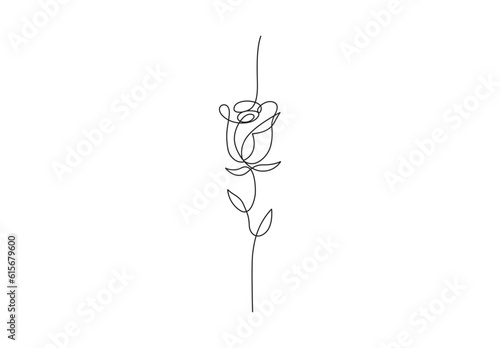 Continuous one line drawing of rose flower vector illustration. Premium vector.