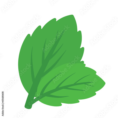 Flat Mint Leaves Icon Vector in Handdrawn Doodle Illustration for Summer Drink Ingredients