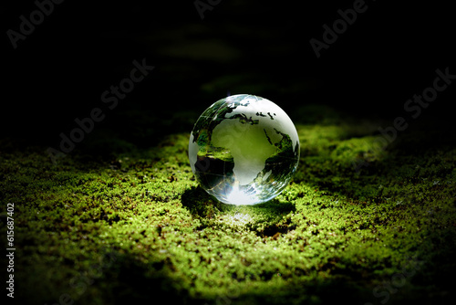 The crystal globe orb rests on the moss in the forest. There was a beautiful sunlight shining down in the center. Sustainable environmental conservation concept