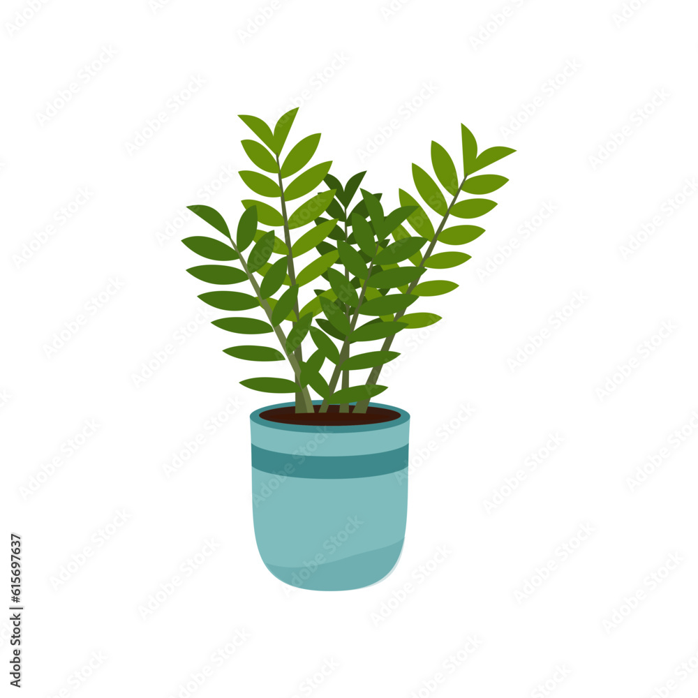 Plant Illustration Plant Illustration