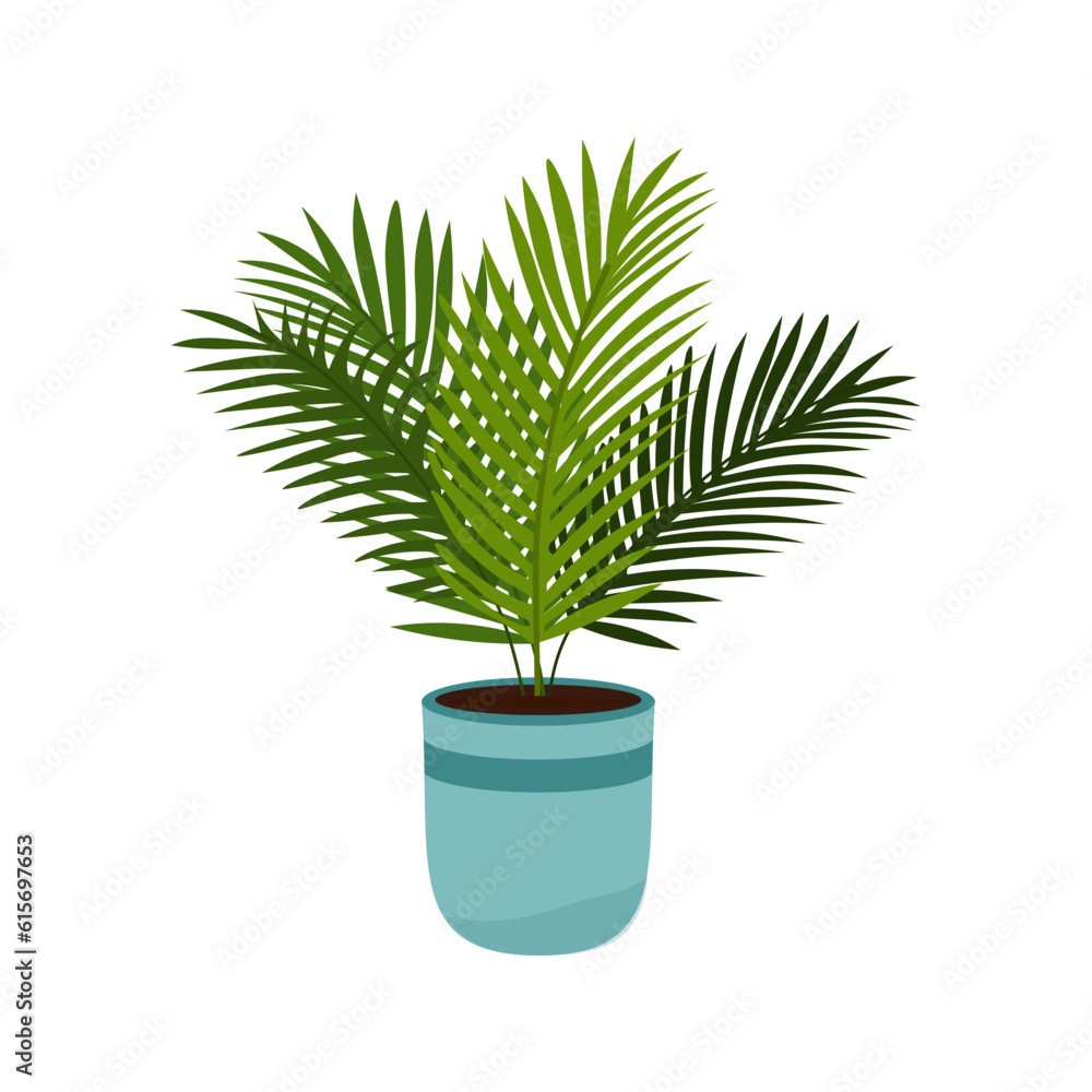 Plant Illustration Plant Illustration