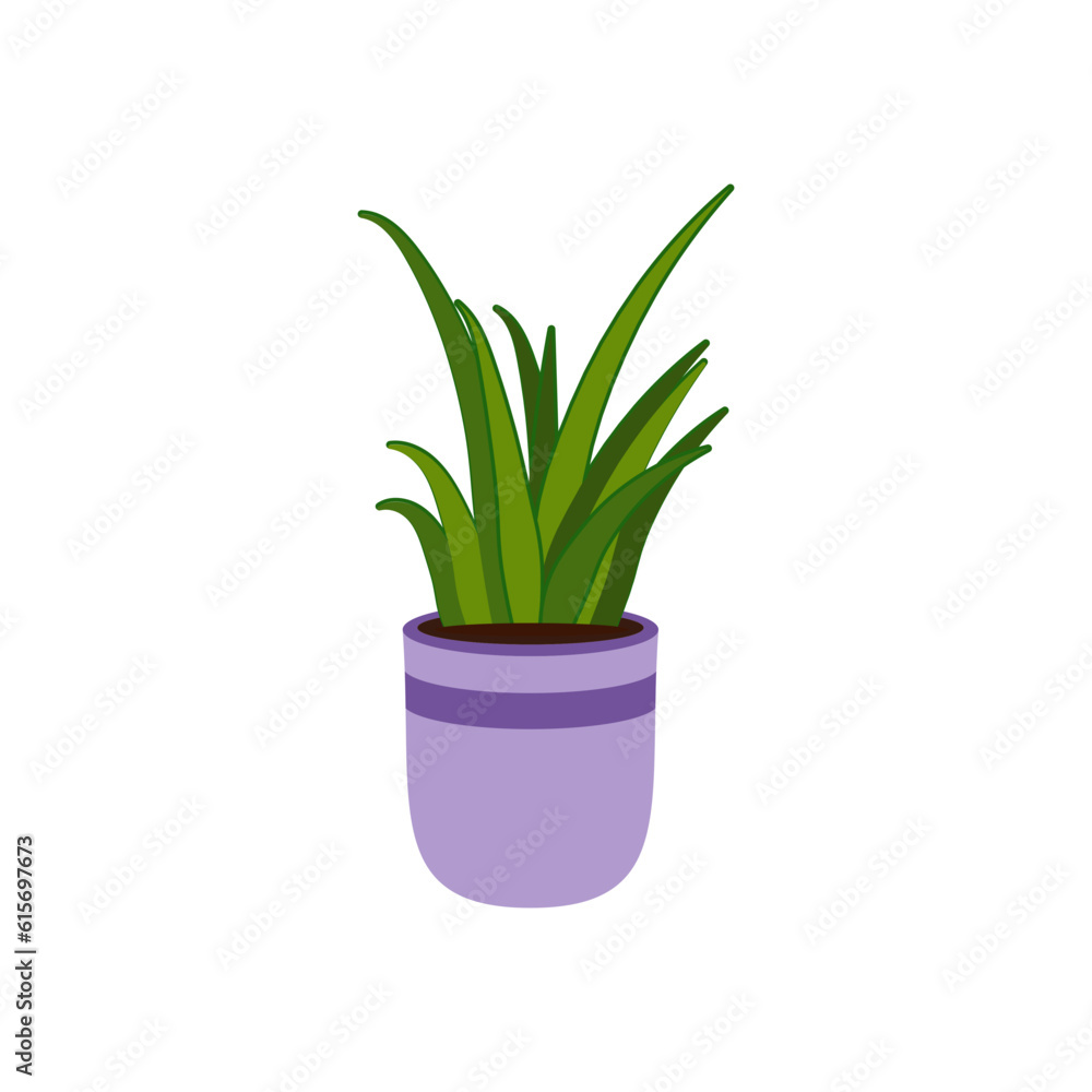 Plant Illustration Plant Illustration