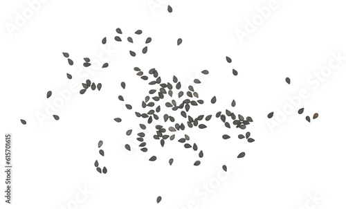 Black organic sesame seeds isolated on white, top view