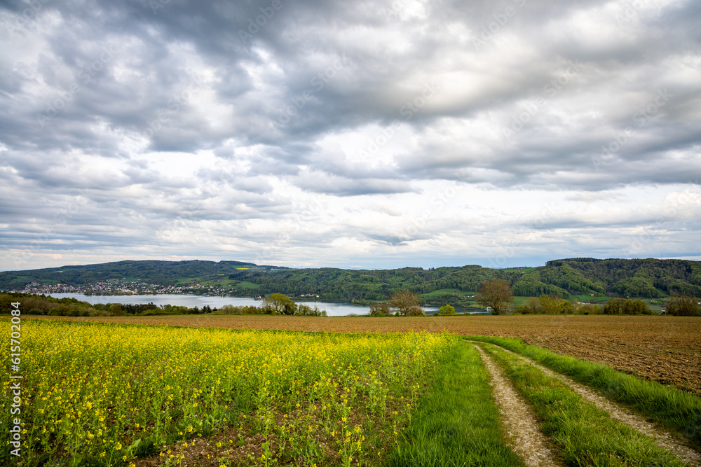A meadow with a dirt path against the backdrop of river Rhine and villages in the hills