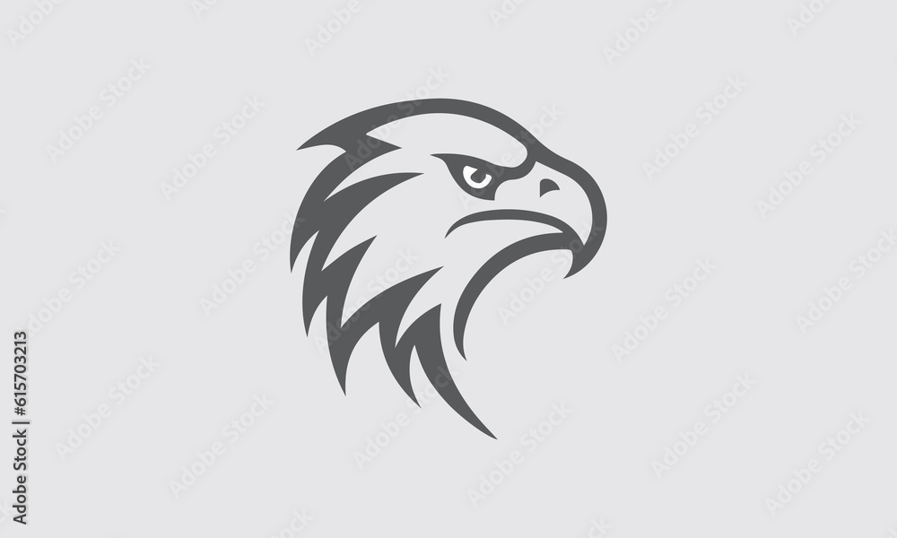 Abstract eagle or hawk Icon isolated on Plain background