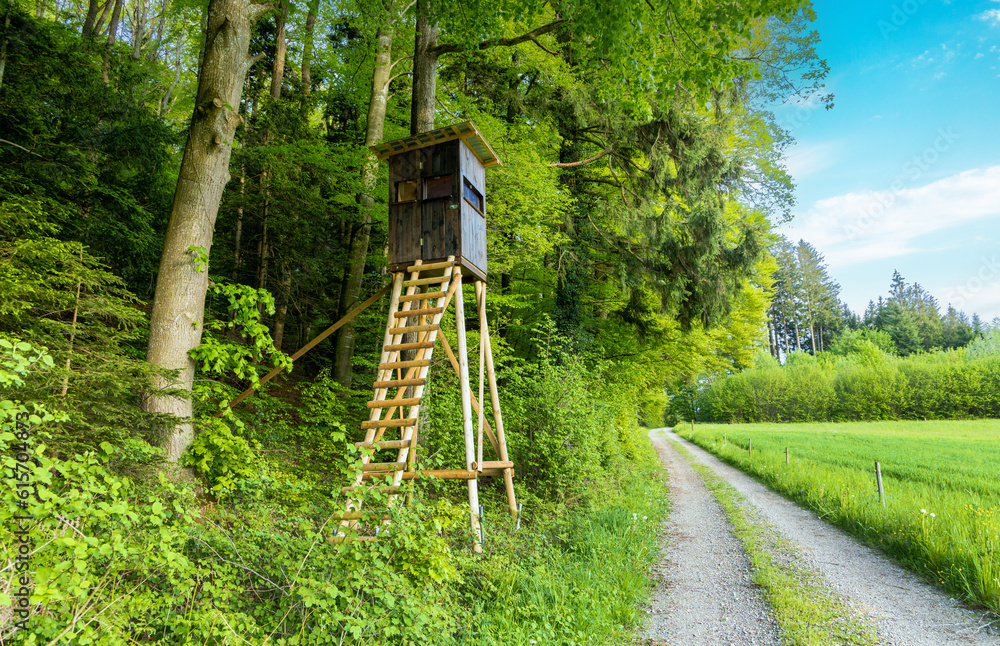 A hunting tower stands on the edge of a forest near the dirt road in a valley meadows against a blue sky A hunting tower stands on the edge of a forest near the dirt road in a valley meadows against a blue sky