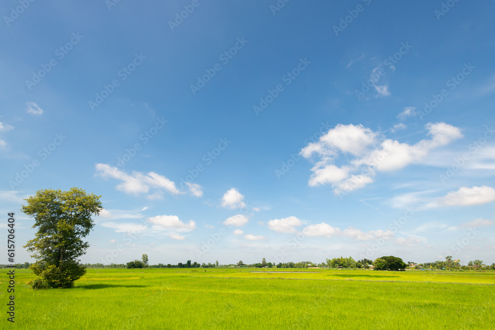 panorama blue sky background with small clouds. White clouds move in the sky in the sunshine. Amazing. panorama blue sky background with small clouds. White clouds move in the sky in the sunshine. Amazing.